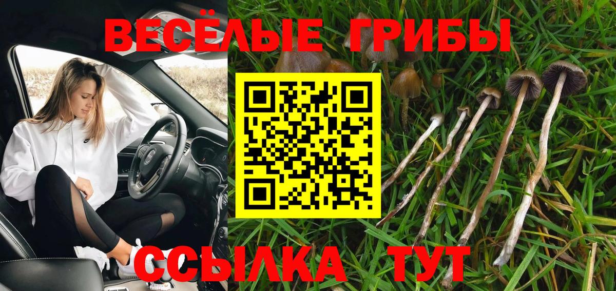 ГАШИШ Семилуки
